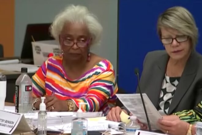 Brenda Snipes' replacement could shape 2020 election