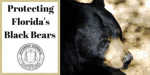 Florida arrests 9 for cruelty to black bears