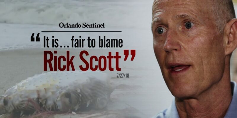 New Advertisement Blames Governor Scott for Algae Concerns