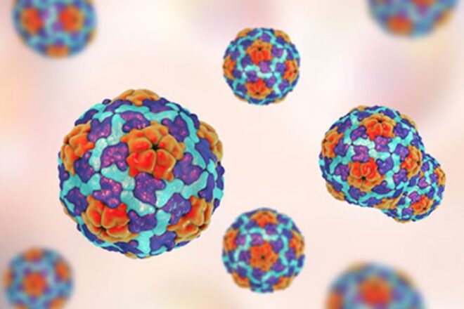 FL Hepatitis cases continue to climb