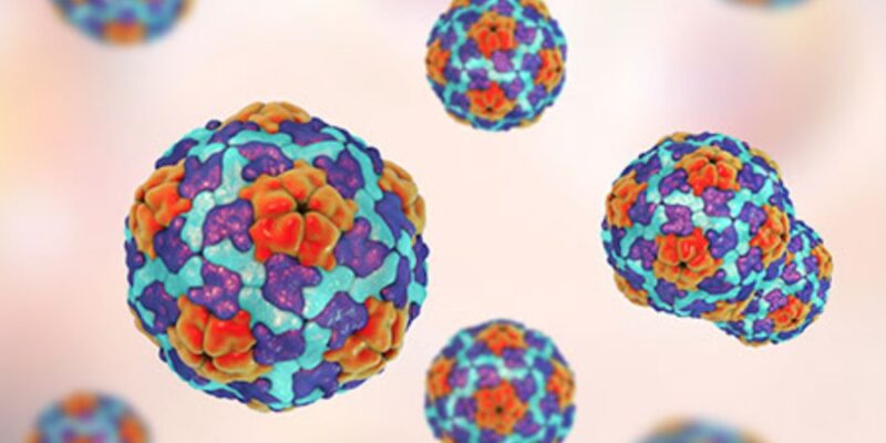 FL Hepatitis cases continue to climb