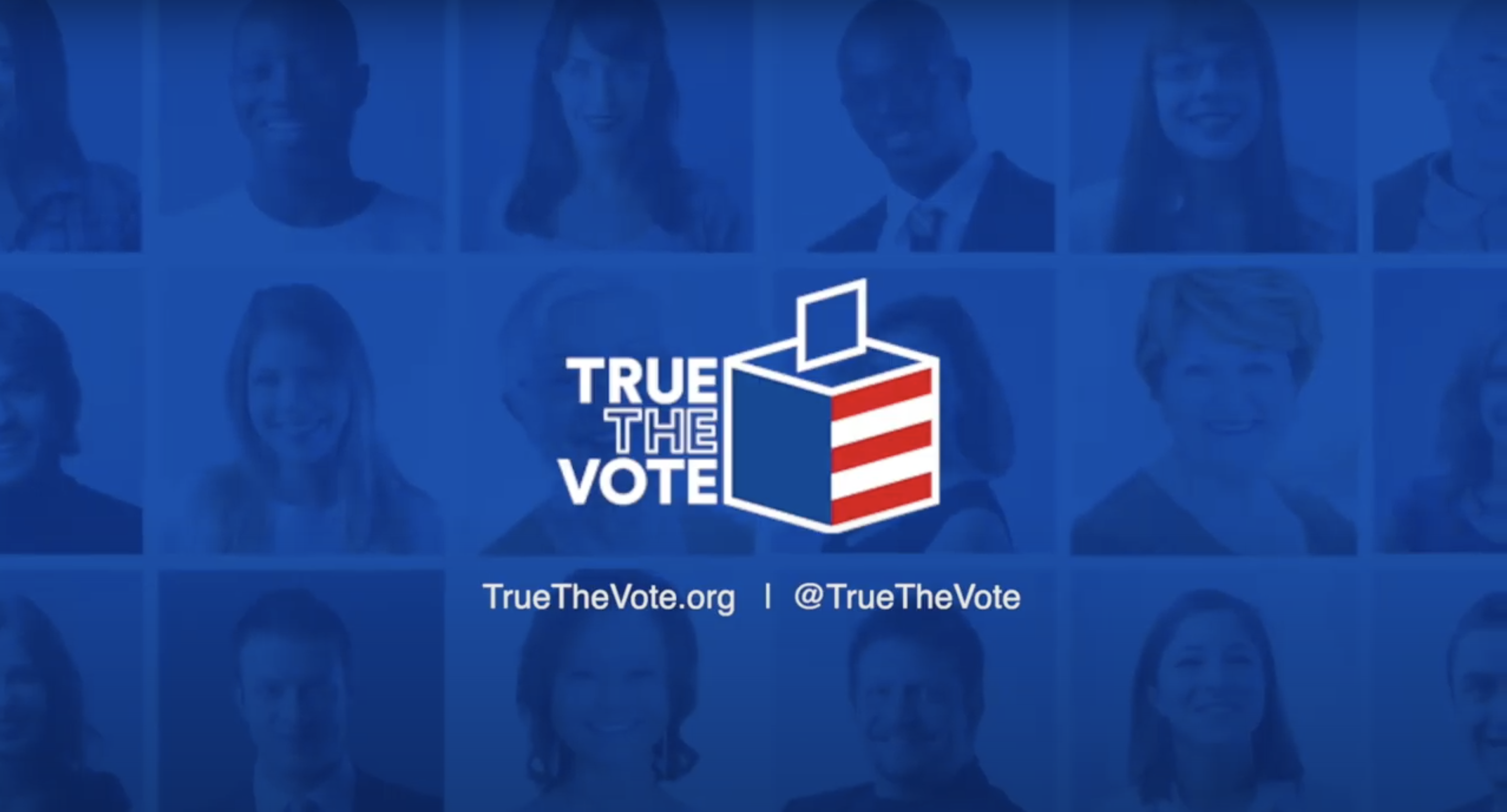 True the Vote Fights for Voter Protection