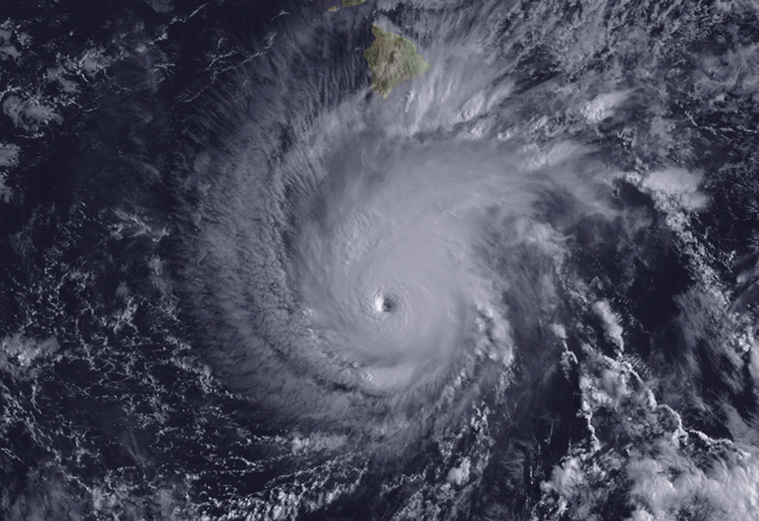 Murphy Increases Hurricane Awareness, Biden Double aid for FL