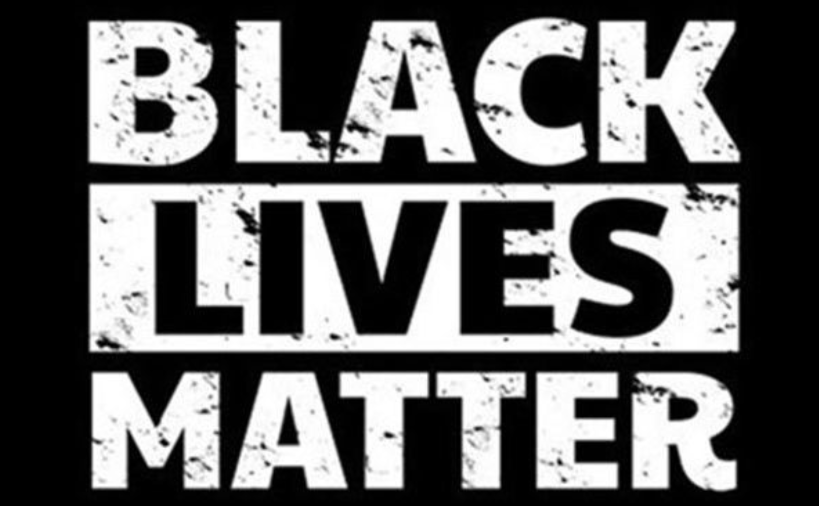 Blacks Lives Matter Founder Cashes in on Racism