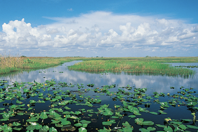 Groundbreaking on Everglades Reservoir Begins