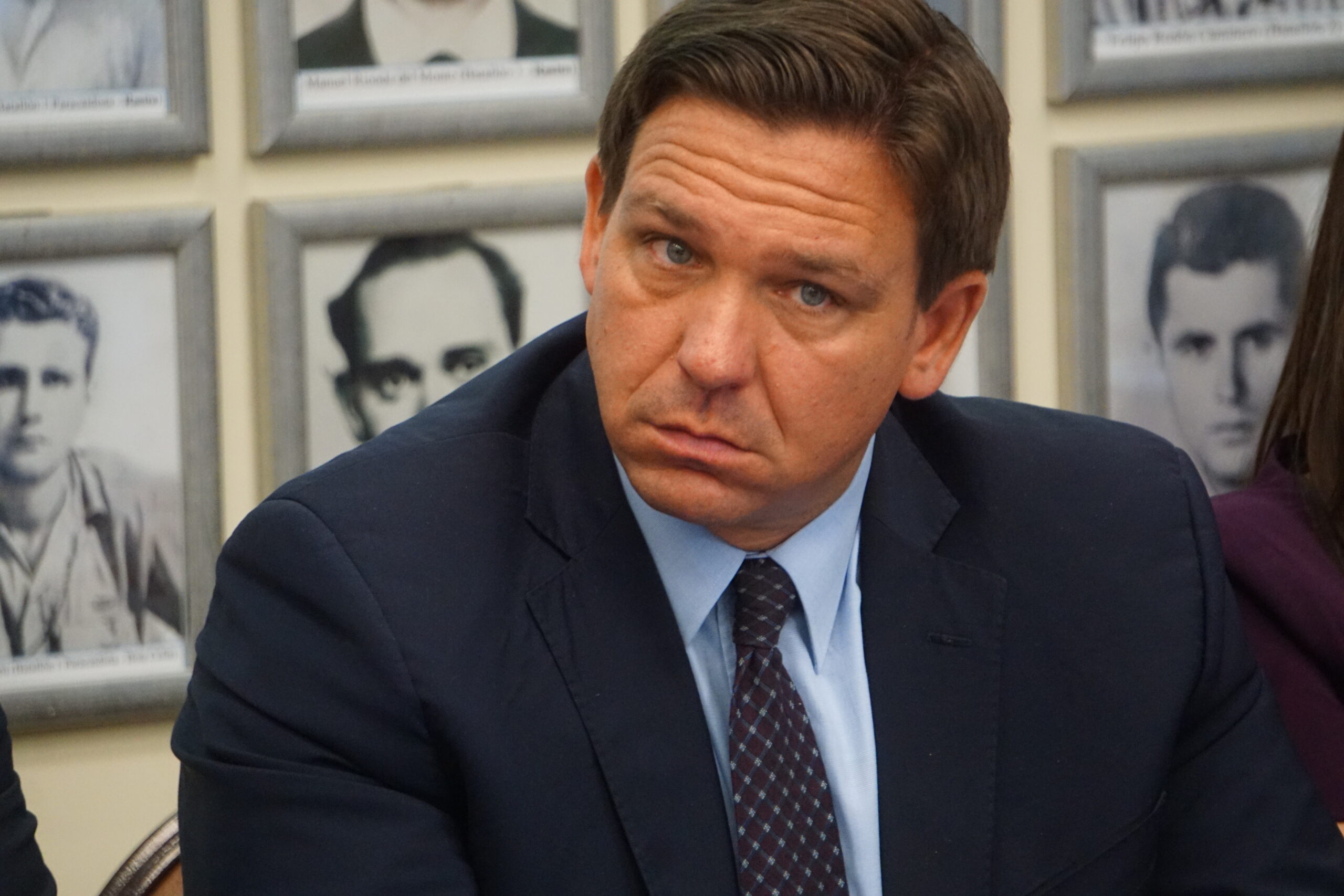 DeSantis Says Democrats Will 'Support Forced Firing' in Special Session