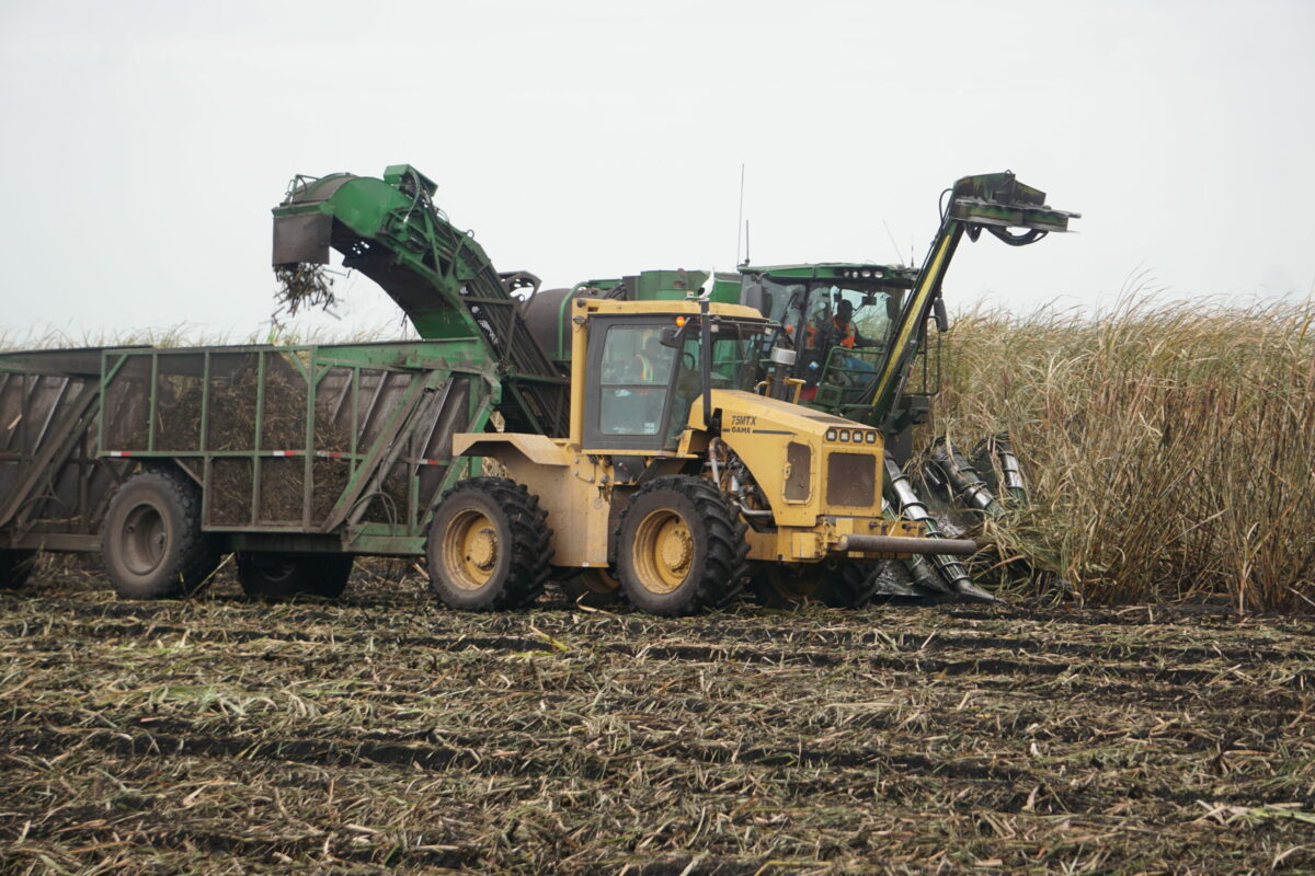 Farming