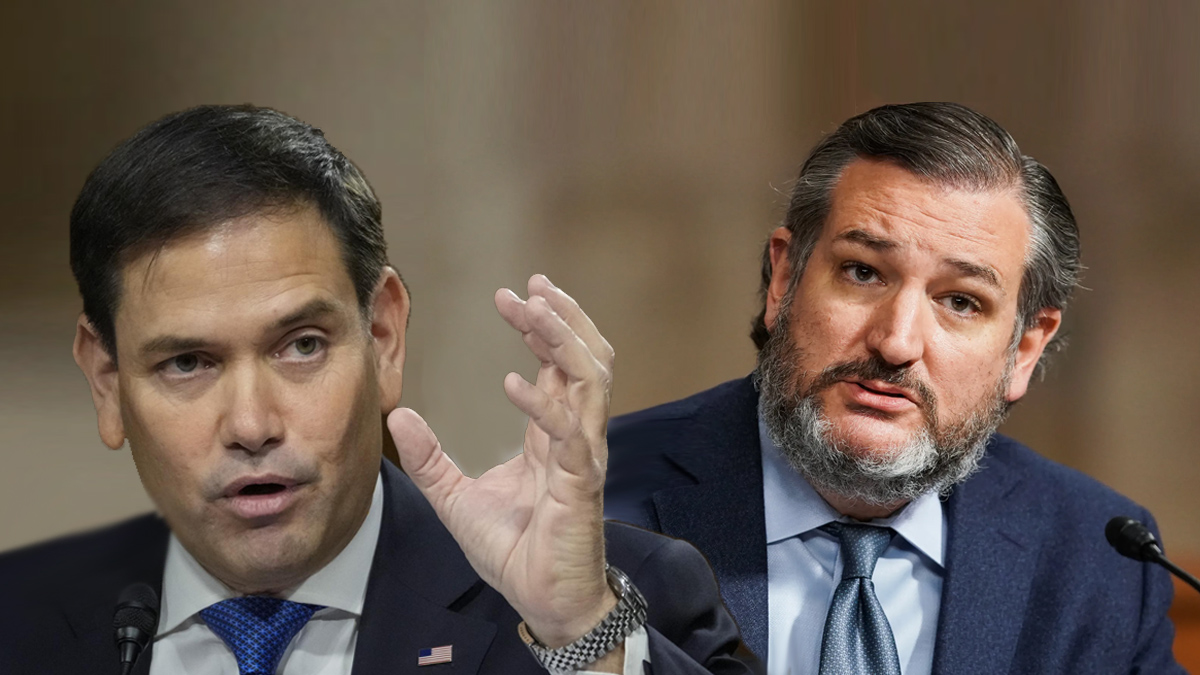 Senators Marco Rubio (R-FL) and Ted Cruz (R-TX)