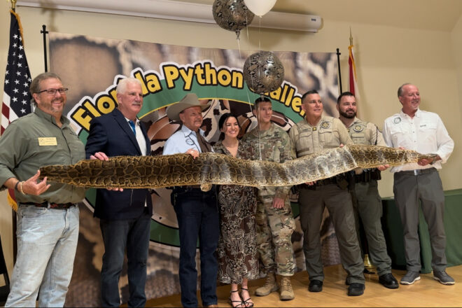 Florida's Python Challenge Gives Hope to Veterans