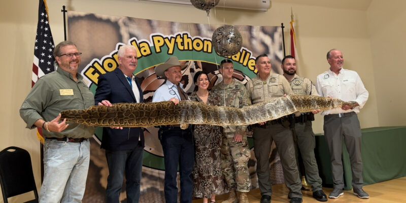 Florida's Python Challenge Gives Hope to Veterans