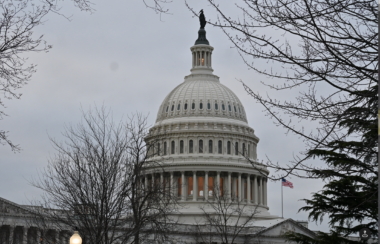 Florida's Congressional Incumbents Overwhelmingly Retain Seats