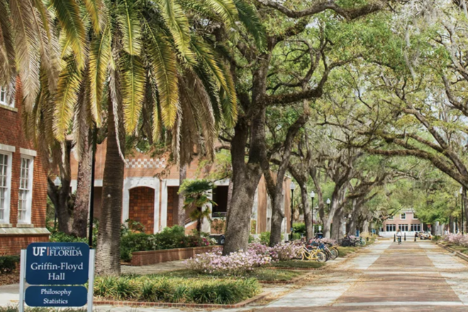 University of Florida Could Name a DEI President to Lead it's Gators
