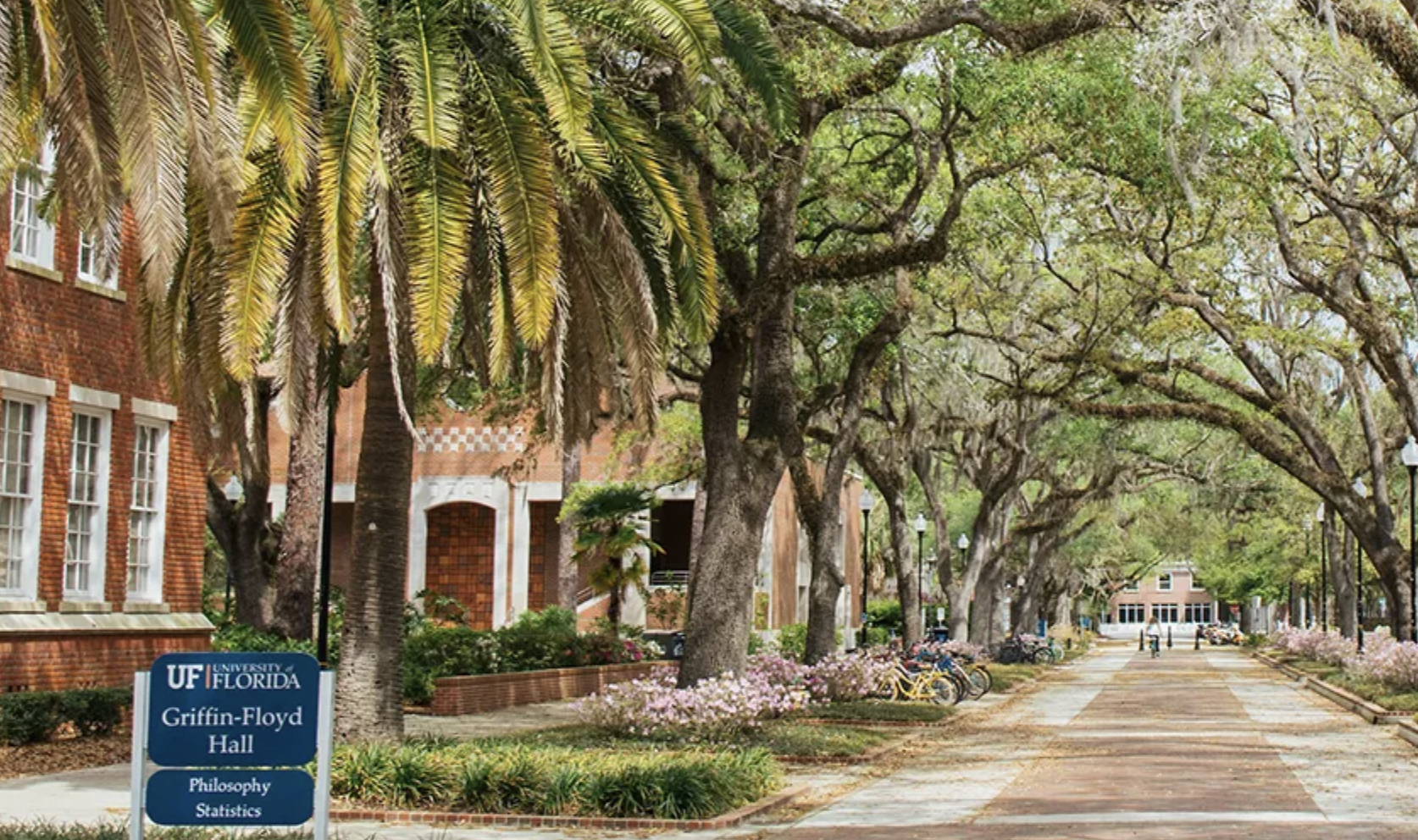 University of Florida