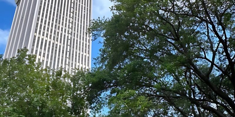 Tampa Named Top City for International Business in America