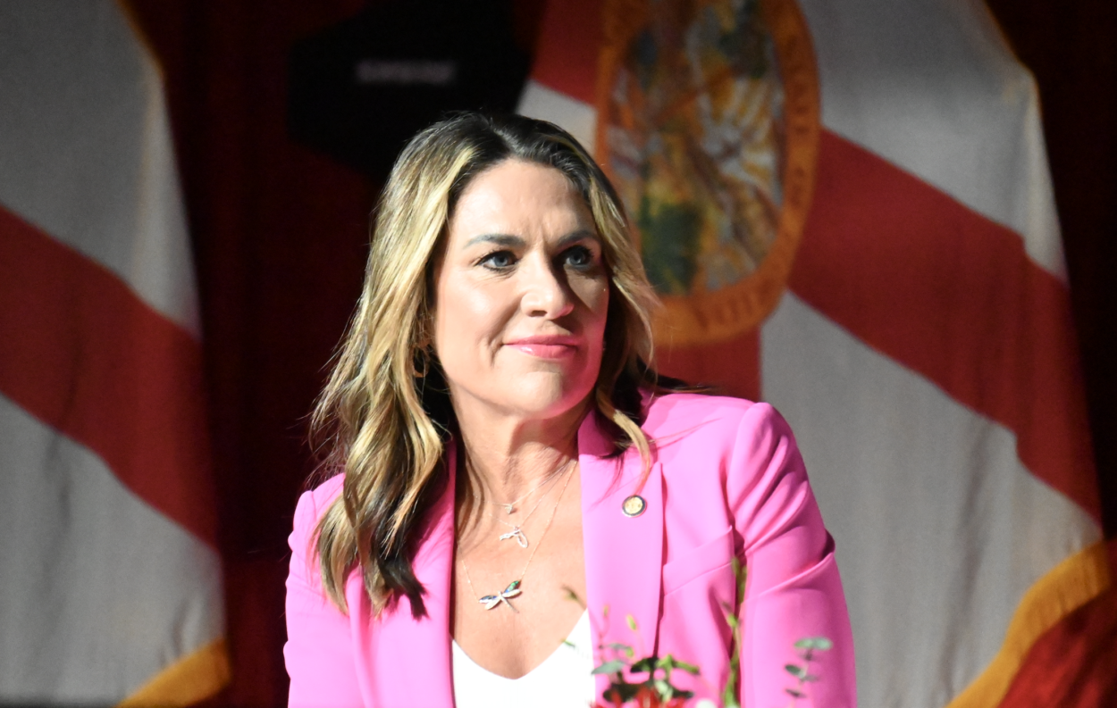 Democratic School Teacher Running Against Meg Weinberger Has a Spelling Problem